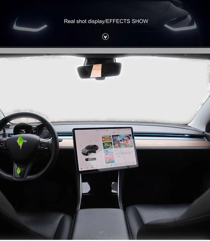Tesla Customized Model 3Y