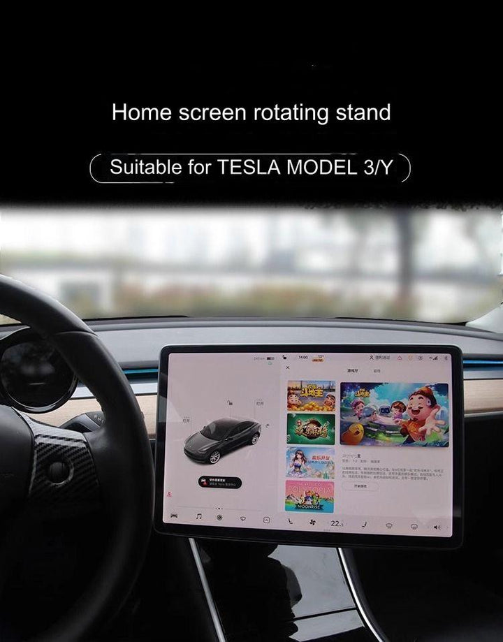 Tesla Customized Model 3Y