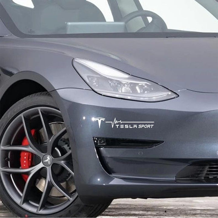 Custom Tesla car stickers